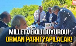 Milletvekili Saffet Bozkurt duyurdu! Orman Parkı yapılacak!