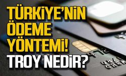 Türkiye’nin ilk yerli ödeme sistemi Troy kart nedir?