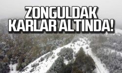 Zonguldak ormanları karlar altında!