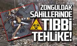 Zonguldak sahillerinde tıbbi tehlike!
