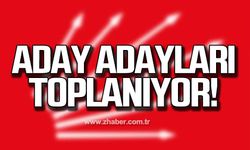 CHP'de aday adayları toplanıyor!