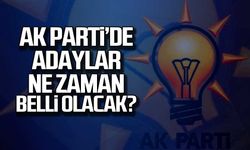 Ak Parti'de adaylar ne zaman belli olacak?