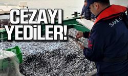 Bartın'da balıkçılara ceza!