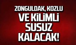 Zonguldak, Kozlu ve Kilimli susuz kalacak!