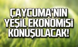 Başkan Kantarcı “Yerelde Yeşil Ekonomi” panelinde konuşacak!