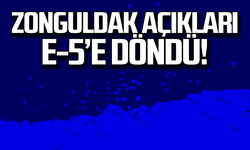 Zonguldak açıkları E-5'e döndü!