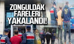 Zonguldak'ta aranan hırsızlar yakalandı!