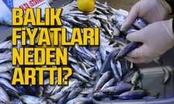Balık fiyatları neden arttı?