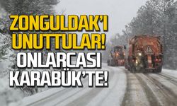 Zonguldak'ı unuttular! Onlarca kar aracı Karabük'te