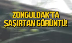 Zonguldak’ta 21 Ocak’ta şaşırtan görüntü!