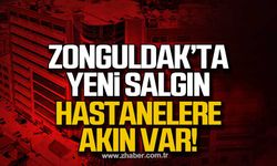 Zonguldak’ta domuz gribi salgını patlama yaptı!
