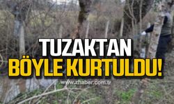 Tuzaktan böyle kurtuldu!