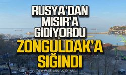 Rusya'dan Mısır'a giden gemi Zonguldak'a sığındı!