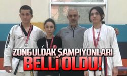 Zonguldak taekwondo şampiyonları belli oldu