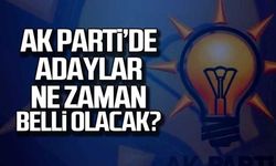 Genel Başkan Yardımcısı duyurdu! Zonguldak'ın adayı o tarihte belli olacak!