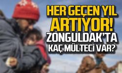 Zonguldak'ta kaç mülteci var?