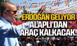 Erdoğan geliyor! Alaplı'dan araç kalkacak!