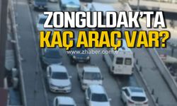 Zonguldak'ta kayıtlı kaç araç var?