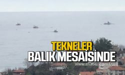 Zonguldak'ta balıkçıların yeni rotası Kilimli açıkları oldu