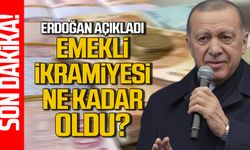 Cumhurbaşkanı Erdoğan "Emekli bayram ikramiyesi 3 bin lira olacak"