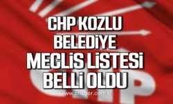 CHP Kozlu Belediye Meclis listesi belli oldu!