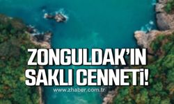 Yılmaz; "Zonguldak'taki Danaağzı sahili, Büyük Oksinas sahillerinden biri"