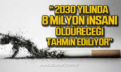 Köktürk; "2030 yılında sigaranın 8 milyon insanı öldüreceği tahmin ediliyor"