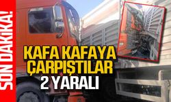 Zonguldak Alaplı’da iki tır kafa kafaya çarpıştı! 2 yaralı