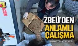 ZBEÜ'den çevre temalı proje