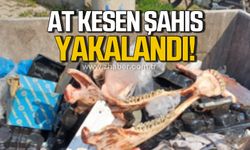 Düzce'de at kesen şahıs yakalandı!