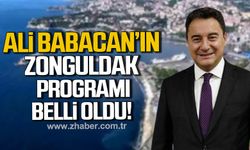 Ali Babacan’ın Zonguldak programı belli oldu!