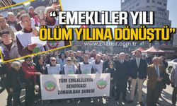 Tüm Emekliler Sendikası üyeleri; "İktidar, 2024 yılını emekliler için ölüm yılına dönüştürdü"