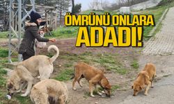 Zonguldaklı Funda Bıyıklı ömrünü sokak hayvanlarına adadı!