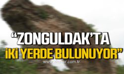 Yılmaz; "Zonguldak’ta su kemeri iki yerde mevcut. Biri Filyos Vadisinde diğeri Ereğli’de!