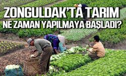 Zonguldak'ta tarım ne zaman yapılmaya başladı?
