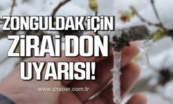 Zonguldak için zirai don uyarısı!