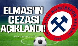 Zonguldak Kömürspor ve Serik Belediyespor'un cezaları açıklandı!