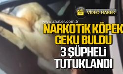 Kastamonu’da narkotik köpek Ceku uyuşturucu madde buldu!  3 şüpheli tutuklandı!