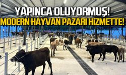 Yapınca oluyormuş! Bölgenin en modern hayvan pazarı açıldı!