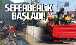 Devrek'te sivrisinek seferberliği başladı!