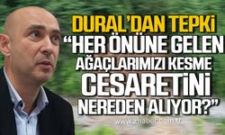 Devrim Dural'dan bin 183 yaşındaki ağacın kesilmesine tepki!