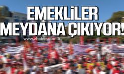 Emekliler 25 Mayıs'ta meydana çıkıyor!