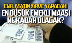 Enflasyon zirve yapacak! Emekli zammı ne kadar olacak?