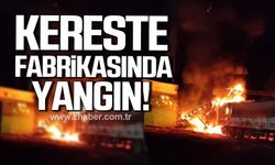 Kastamonu’da kereste fabrikasında yangın!