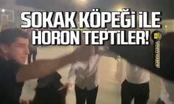 ZBEÜ'de öğrenciler sokak köpeği ile horon tepti! O anlar kamerada!