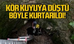 Kör kuyuya düştü böyle kurtarıldı!