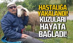 Hastalığa yakalandı! Kuzuları hayata bağladı!