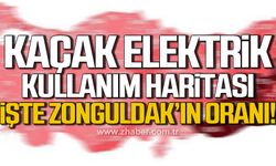 Kaçak elektrik kullanım oranları açıklandı! Peki Zonguldak'ta durum ne?