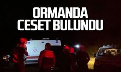 Kaybolmuştu! Ormanda cesedi bulundu!