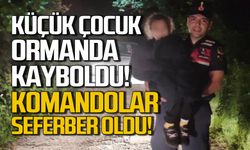 Küçük çocuk ormanda kayboldu! Jandarma seferber oldu!